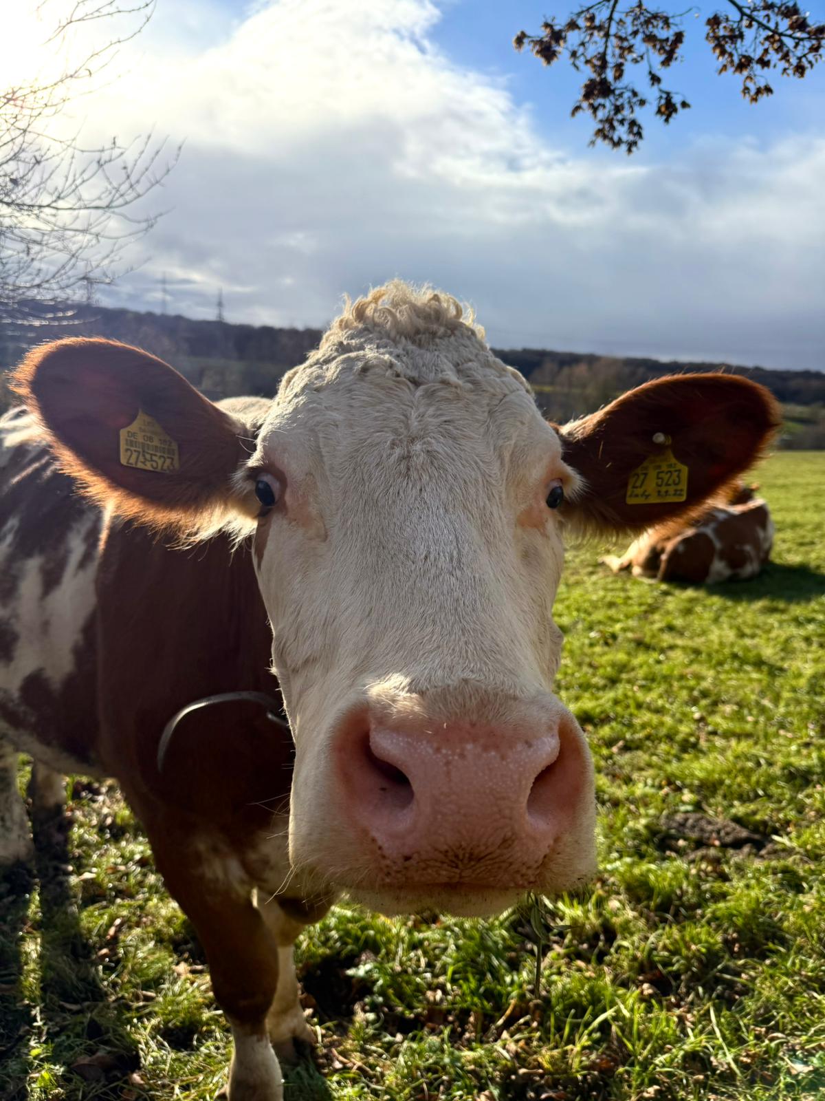 JG 6 I Schulbauernhof I November ’25